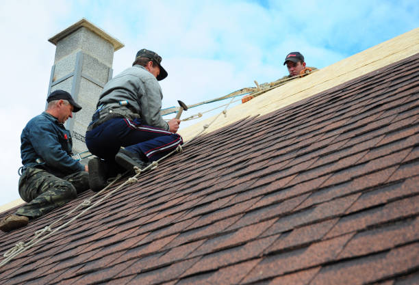 Roof Installation Near Me in Coal City, WV