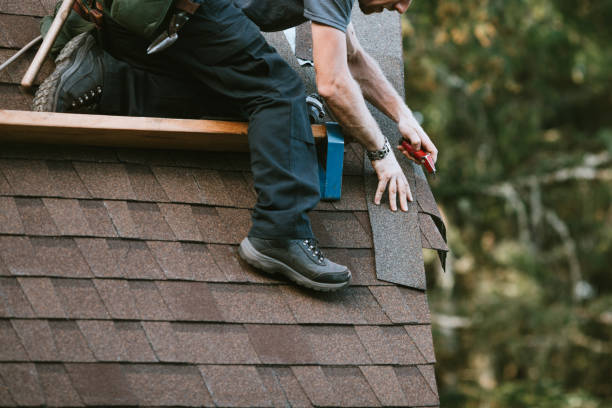 Best Metal Roofing Contractor  in Coal City, WV