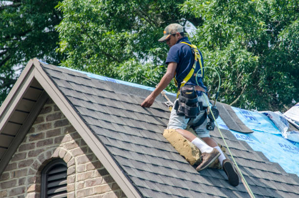 Best Roofing Contractor Near Me  in Coal City, WV